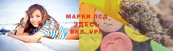 ГАЛЛЮЦИНОГЕННЫЕ ГРИБЫ Вязники