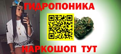 бутират Дубна