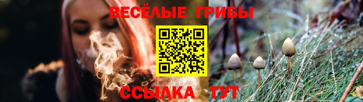 Галлюциногенные грибы мицелий  Вход с VPN  Мурманск 