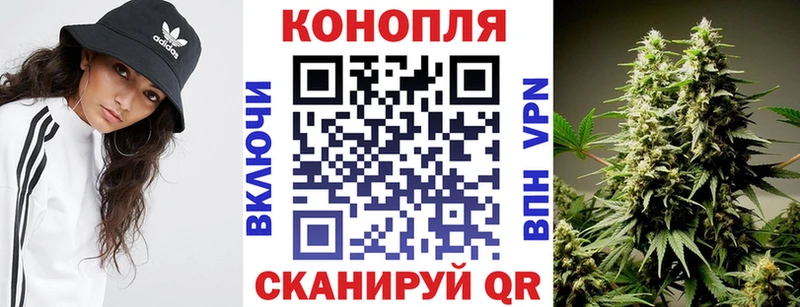 где купить   Мурманск  Шишки марихуана Amnesia 