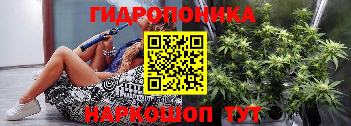 Бошки Шишки сатива Мурманск